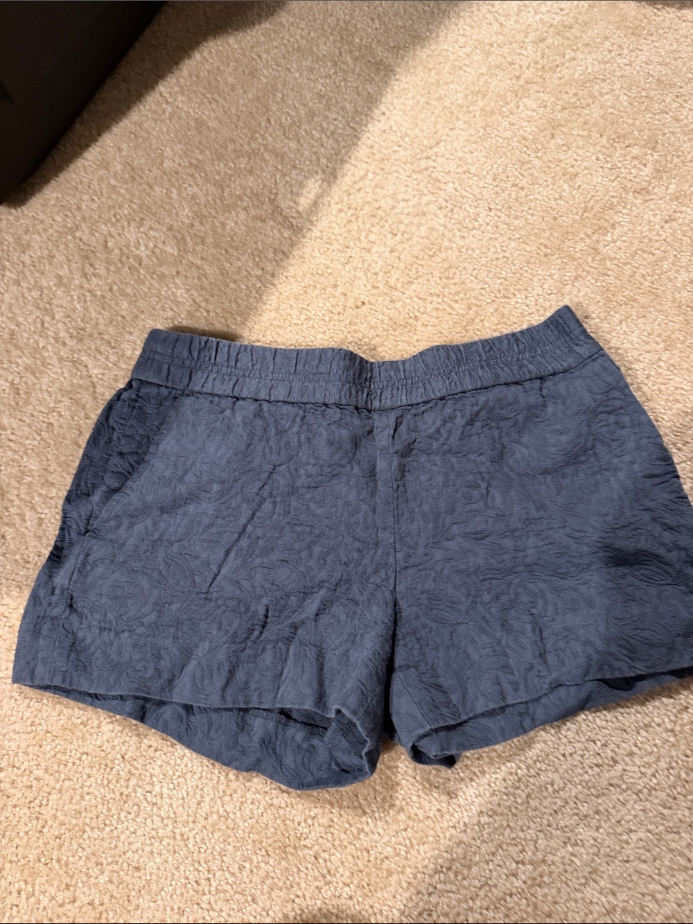 Jcrew Women's blue Textured Casual Shorts